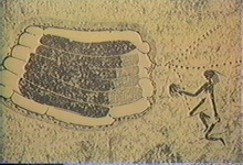 rupestre egipcios abejas