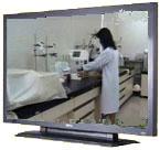 video propoleo cancer medicina tokyo
